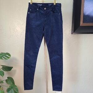 Ag Adriano Goldschmied Blue The Farrah High-Rise Skinny Pants SZ 27R Made In USA